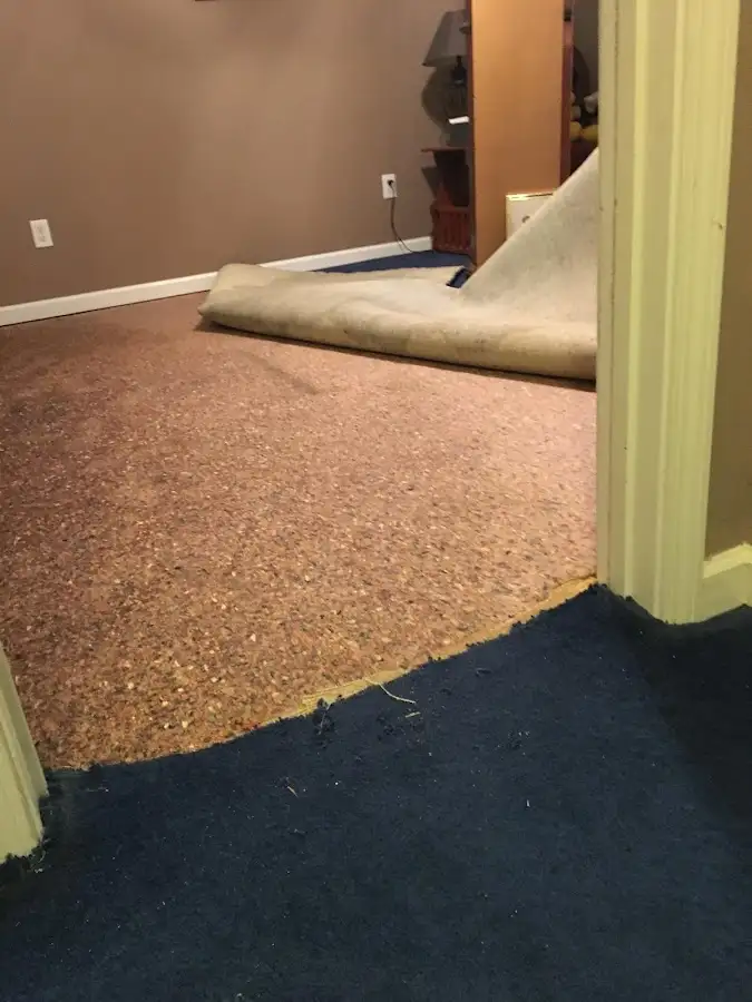 Carpet pad removal revealing water damage during Drying & Dehumidification in Easton